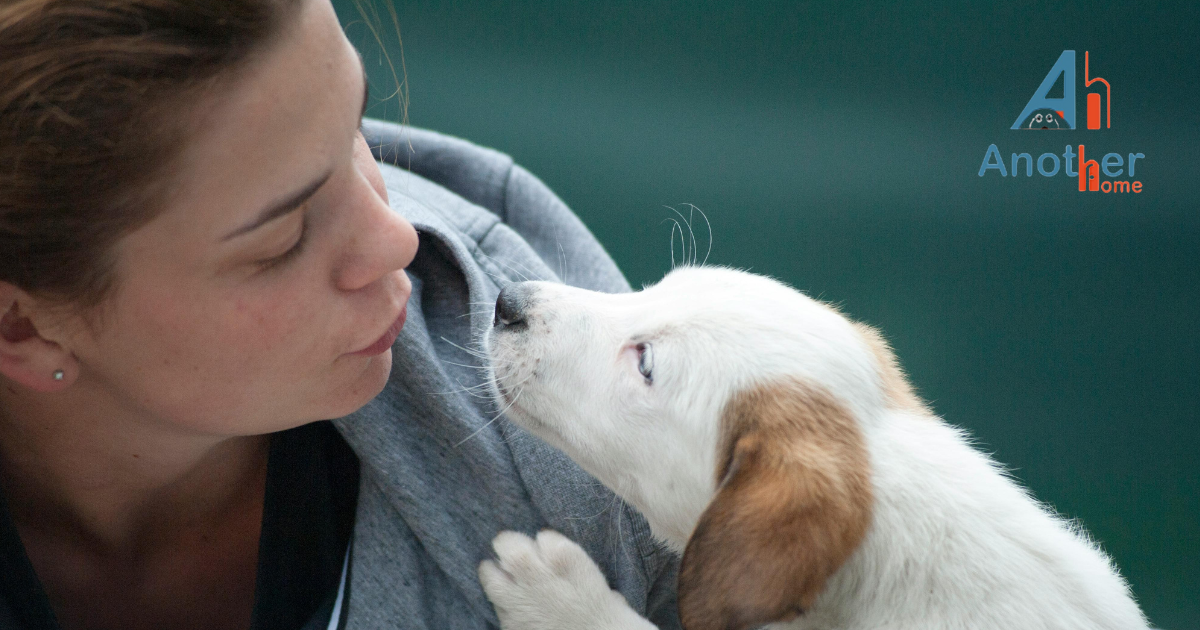Pet Daycare Near Me — What to Look For by Another Home Oct, 2024