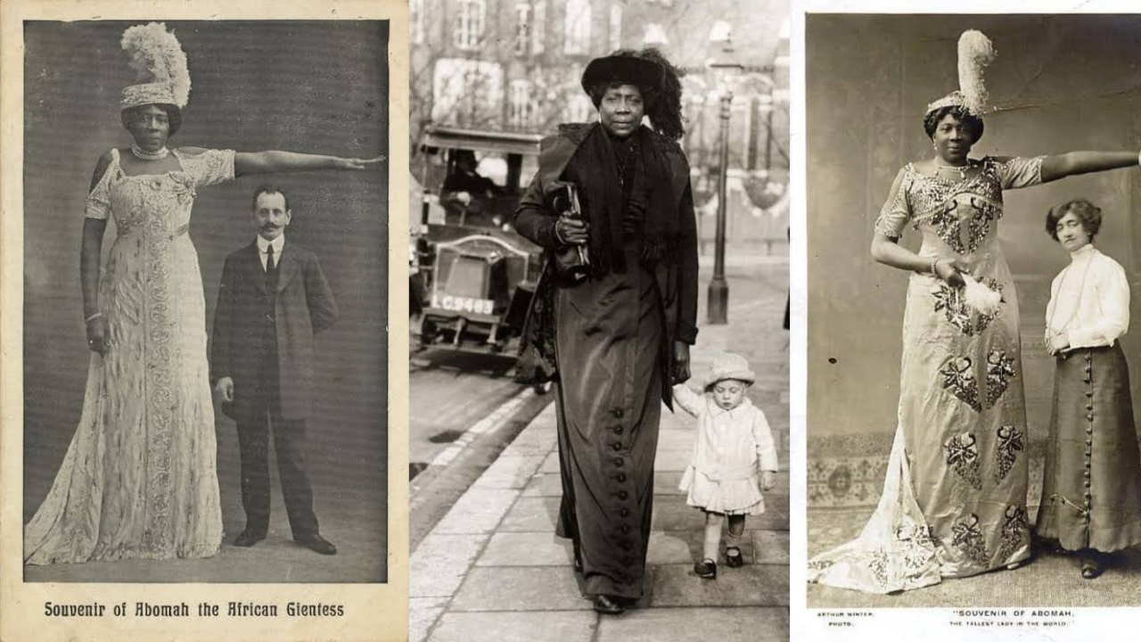 The World's Tallest Black Woman in the 1800s— Mysteriously Vanished, by  Belinda Mallasasime, Lessons from History