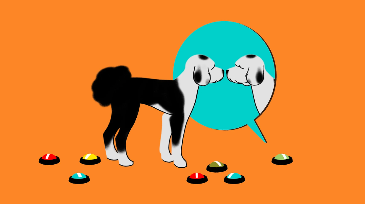 Bunny & Her Buttons: Animal Cognition and Communication