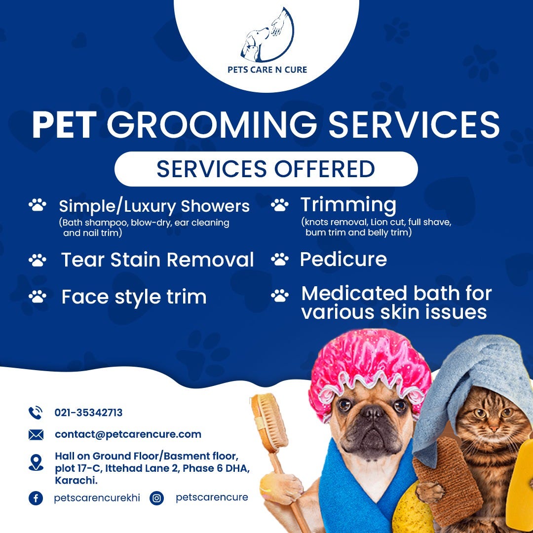 Dog Grooming in Karachi Petcarencure Medium