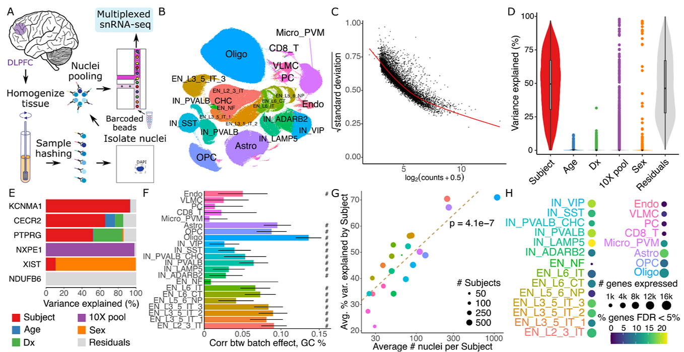 Cell meshing and Parallelizing MD | Python | Python in Plain English