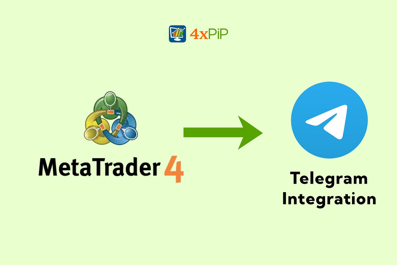 A StepbyStep Guide to Protecting Your Trading Bots with the MT5