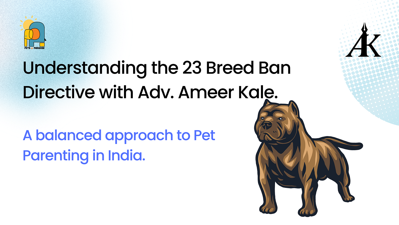 Exploring the Indian Hound Dog Food Flavors A Culinary Journey for