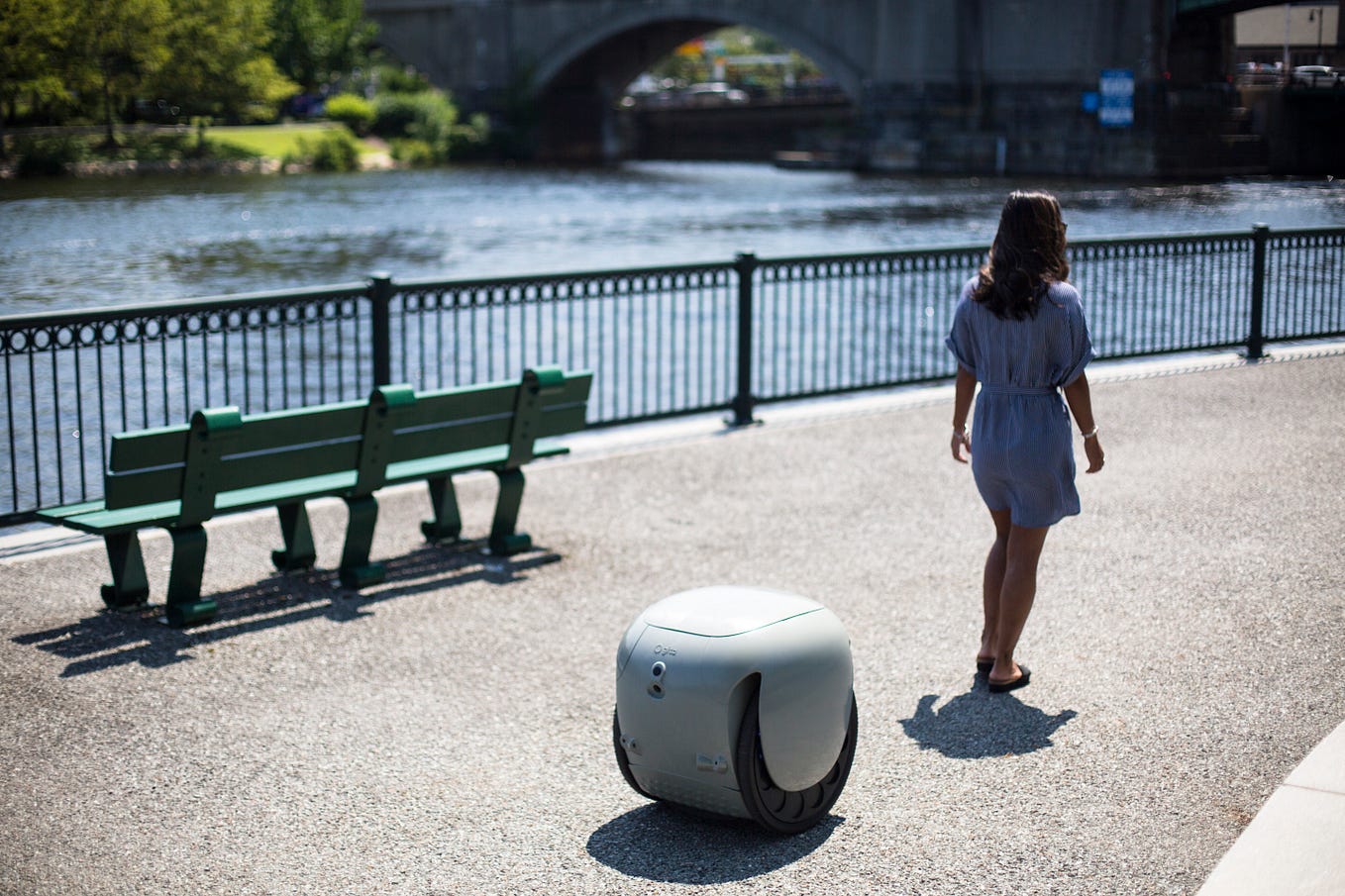 The First Useful Personal Robot Just Carries Your Stuff