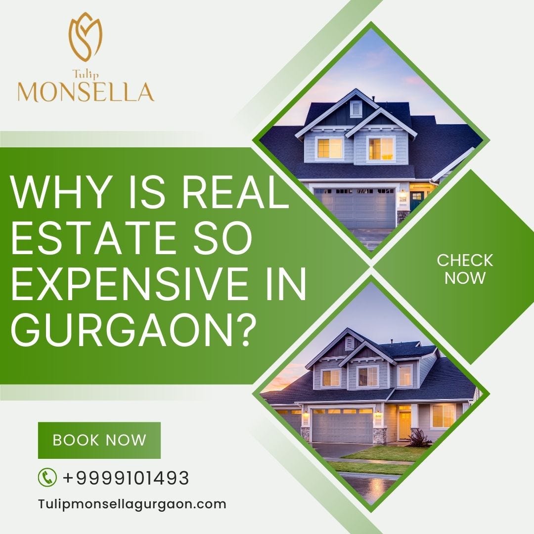 How much does it cost to live in Gurgaon for a family of 4? Tulip