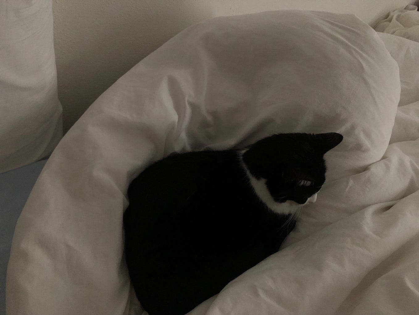 Indeed, you are 'allowed', Mika! I'm so happy for you!! Please, dream on and on and on (and make