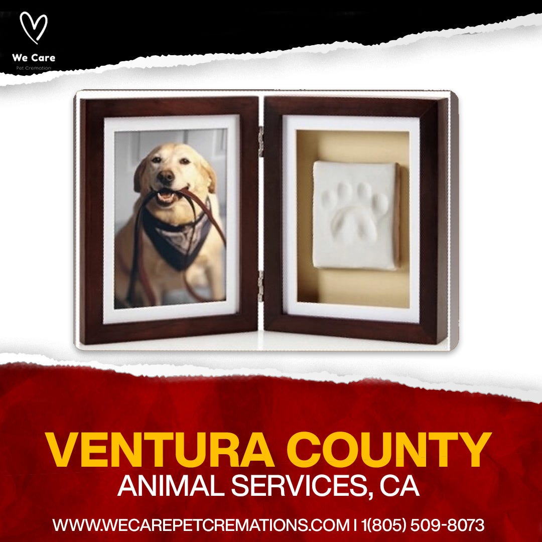 How to Choose the Right Urn for a Hamster Cremation by We care pet cremations Medium