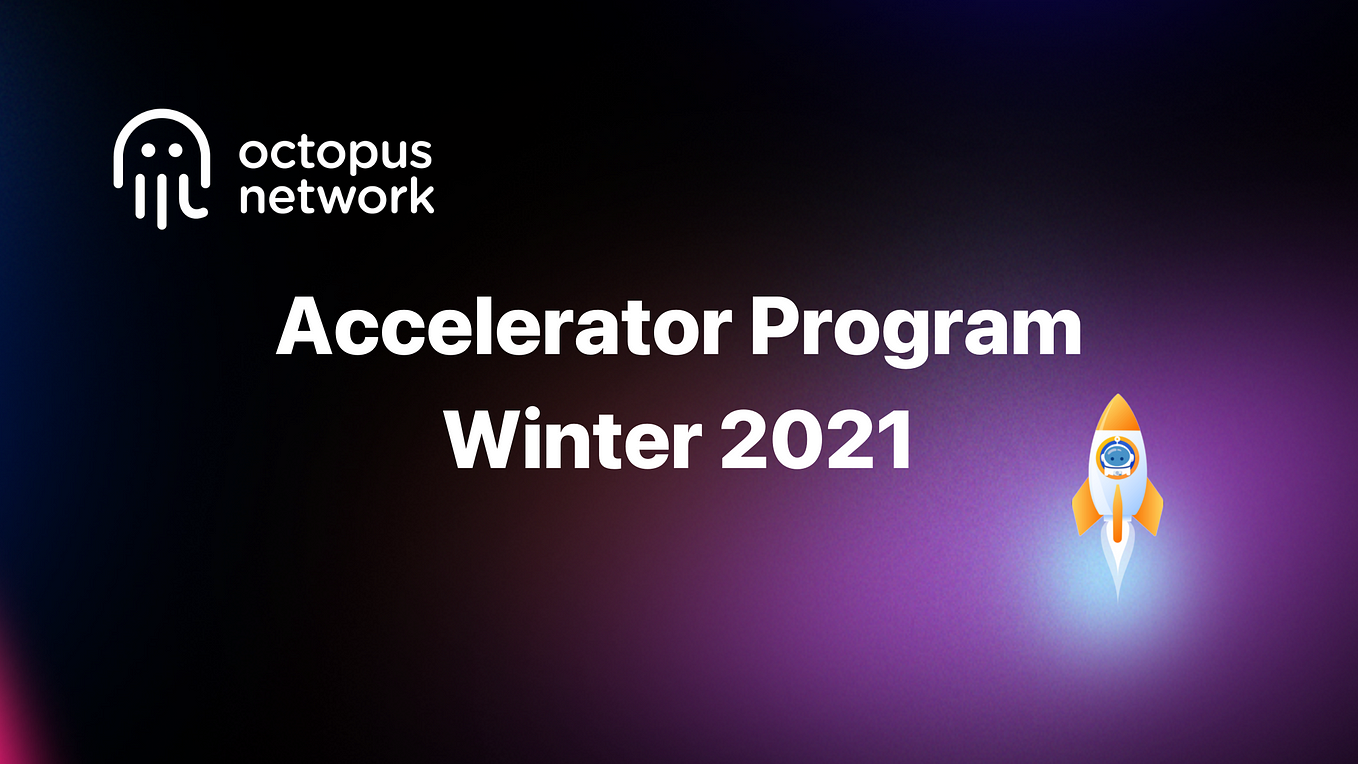 Octopus Network Accelerator Winter 2021 Batch in Review