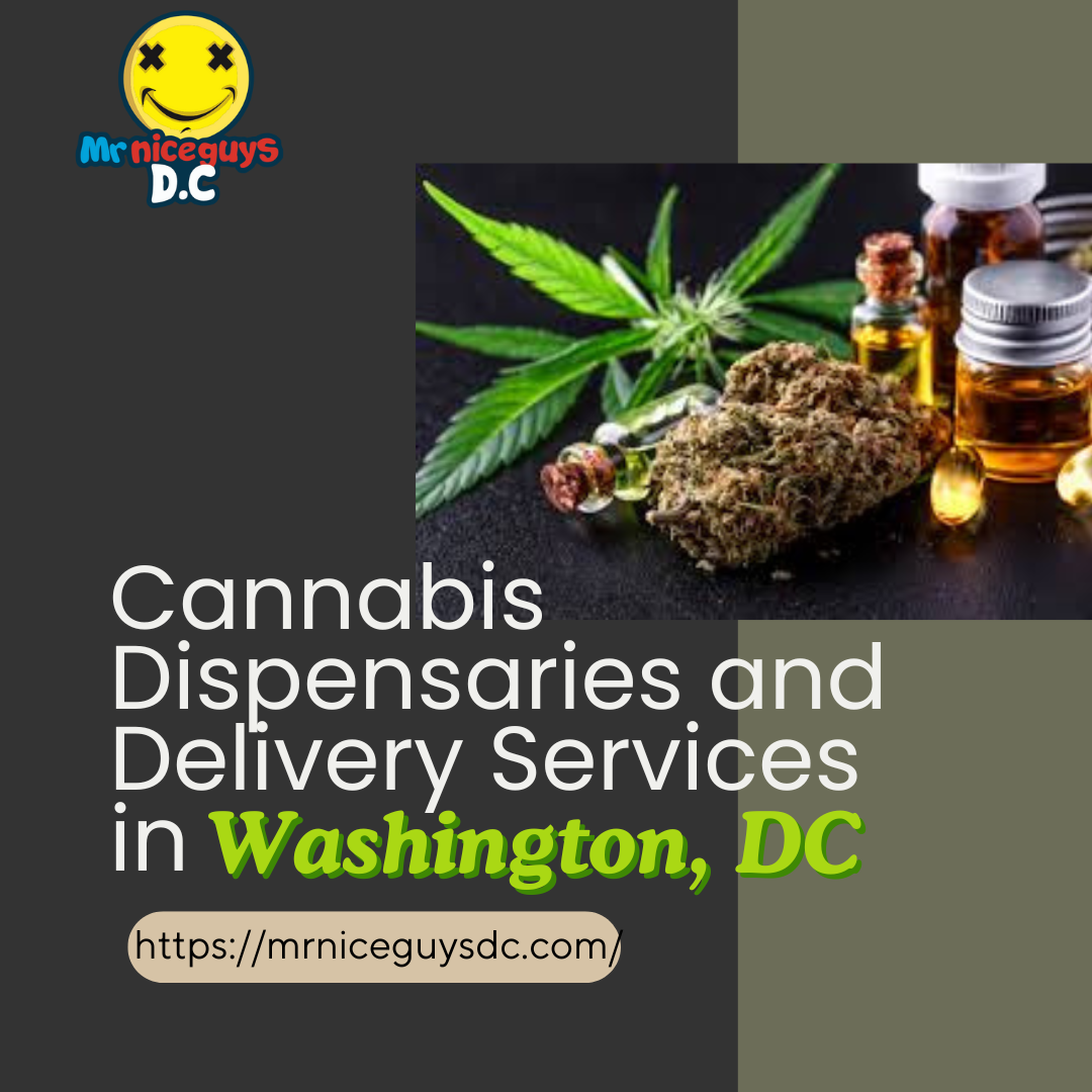 Exploring Recreational Weed Stores and Delivery Services in Washington