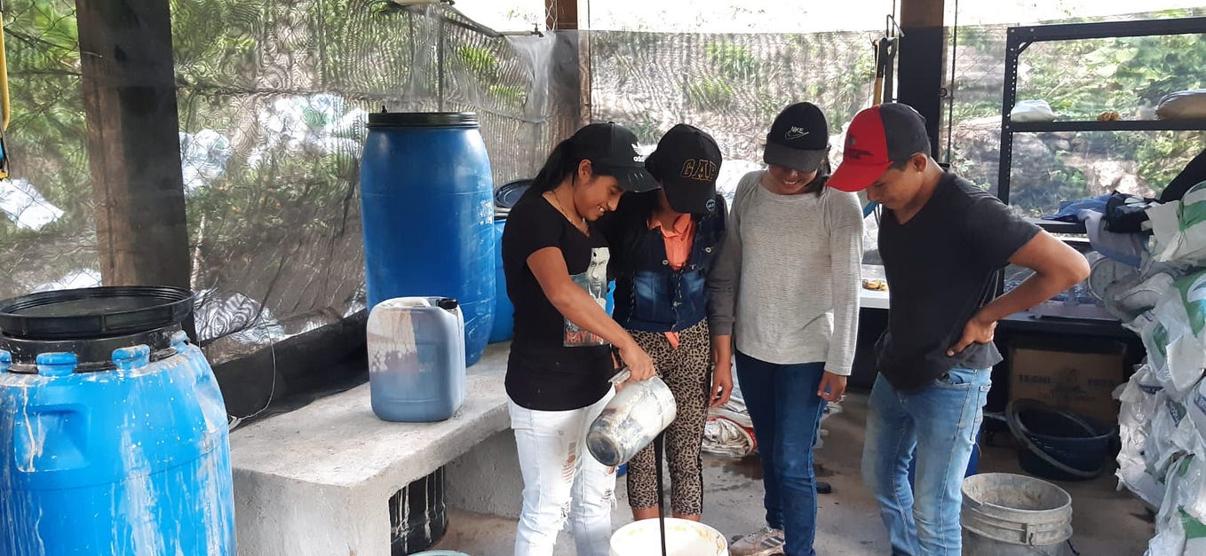Enriching Crop Production Through the Use of Mountain Microorganism Bio-Inputs
