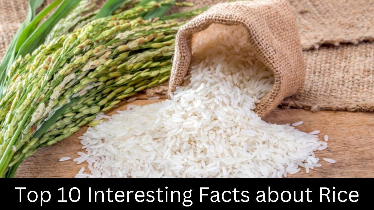 Interesting Facts about Plants — Coolest Fact by Coolest Fact Medium