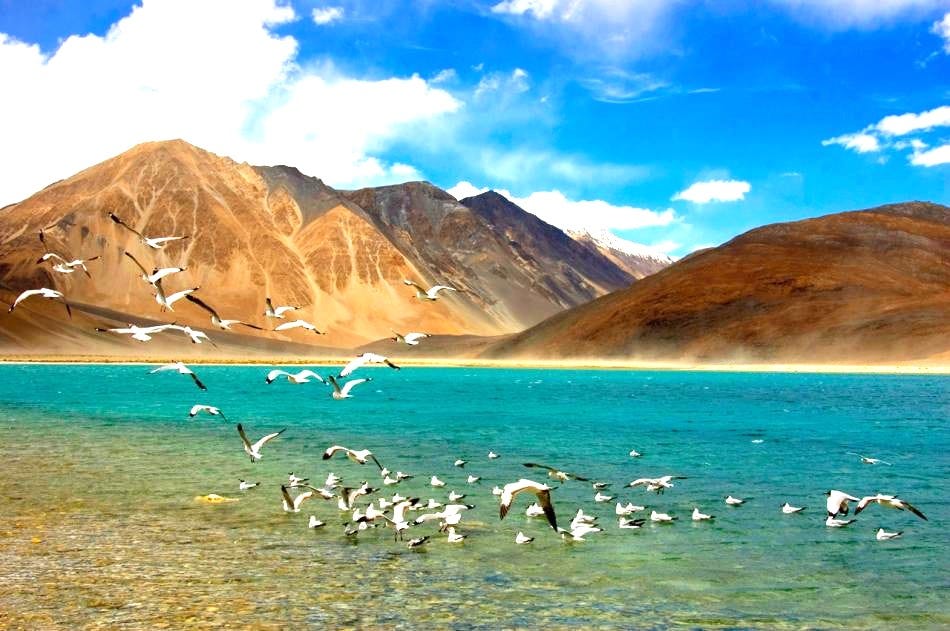 Ultimate Leh Ladakh Tour Plan: A Journey Through the Land of High 