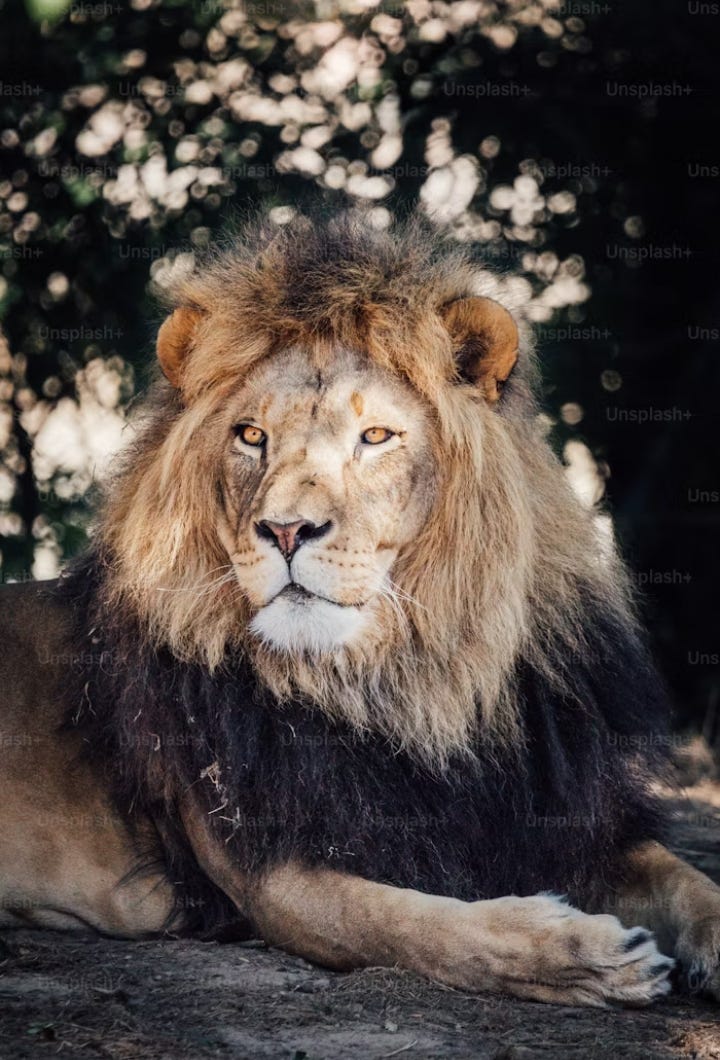 The article "Top 10 Dangerous Dams in the World" offers a compelling