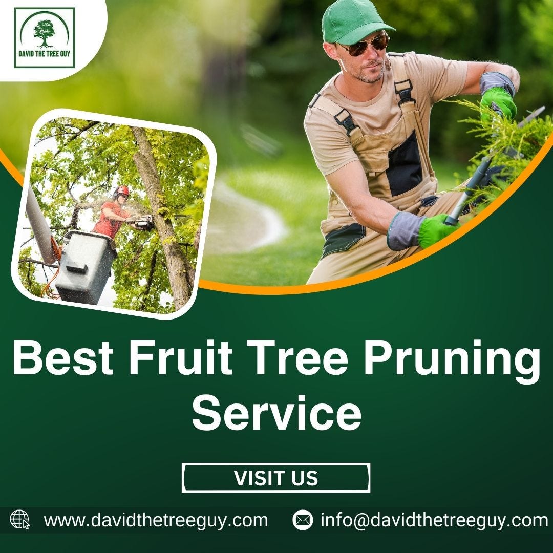 Best Fruit Tree Pruning Services David The Tree Guy Medium