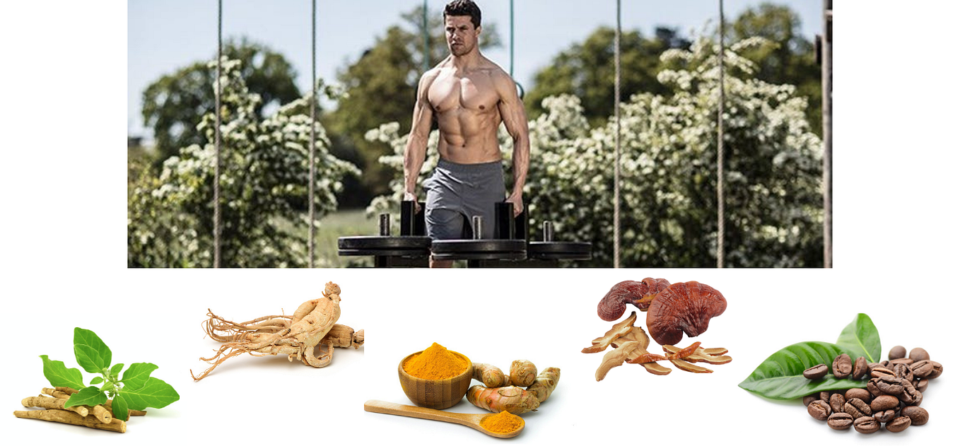 8 Best PreWorkouts With Nootropics For Focus (Ultimate Guide 2022