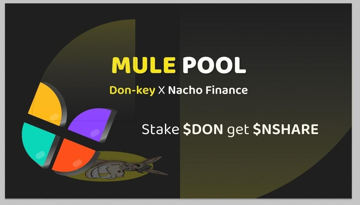Mule Pool: Nacho Finance