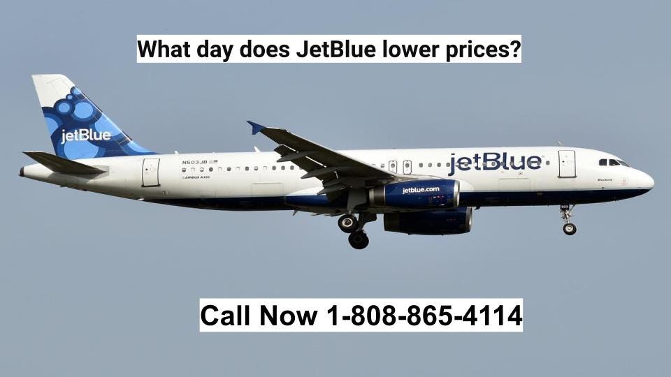 What Month is The Cheapest to Fly to Florida? by Flightreeschedule