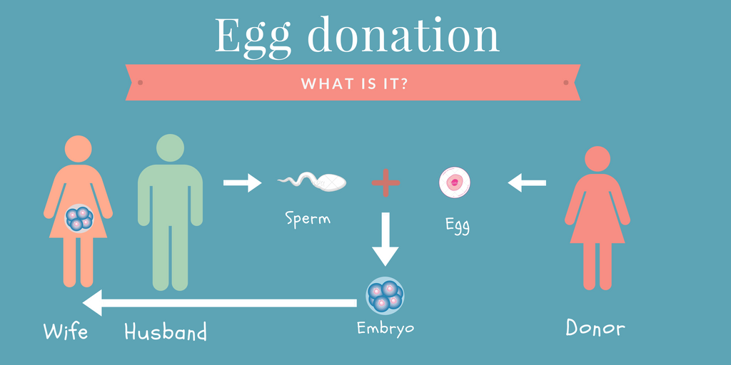 Is Women Egg Donation A Painful Process? by Patriot Conceptions Medium
