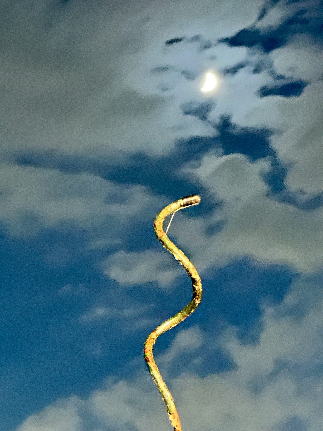 What's in a Chair? Meaning in Simplicity Admiring Multipotentiality