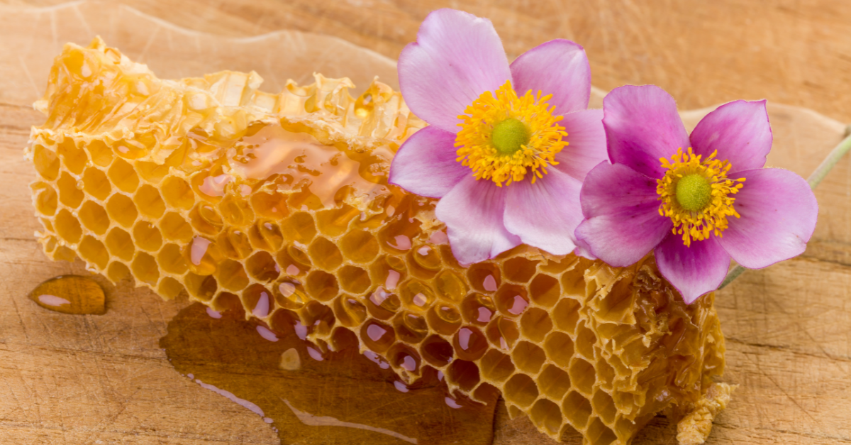 A chunk of honeycomb sits on a wood plank. Two pink and purple flowers are placed on the top.