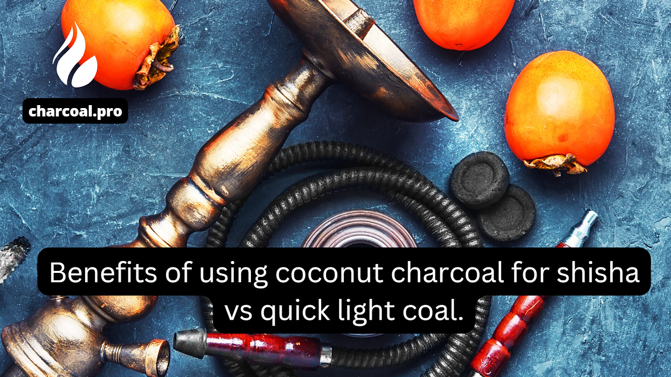 Coal vs. Charcoal Understanding the Key Differences by Greg Ryabtsev
