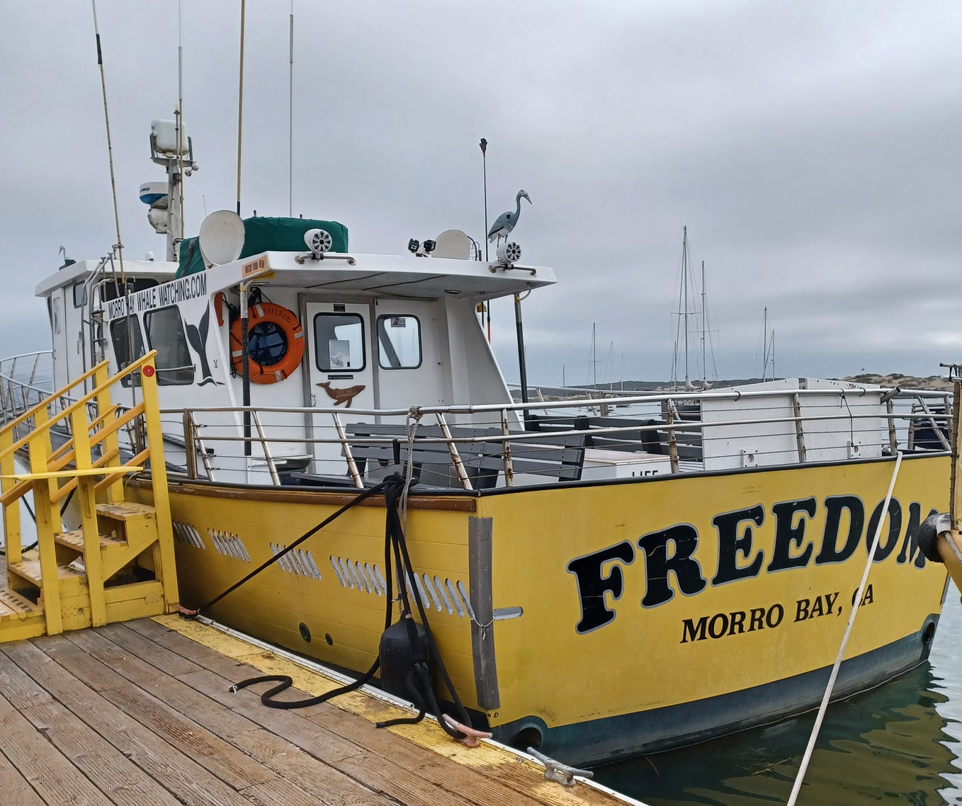 How I Define Retirement in One Word-FREEDOM