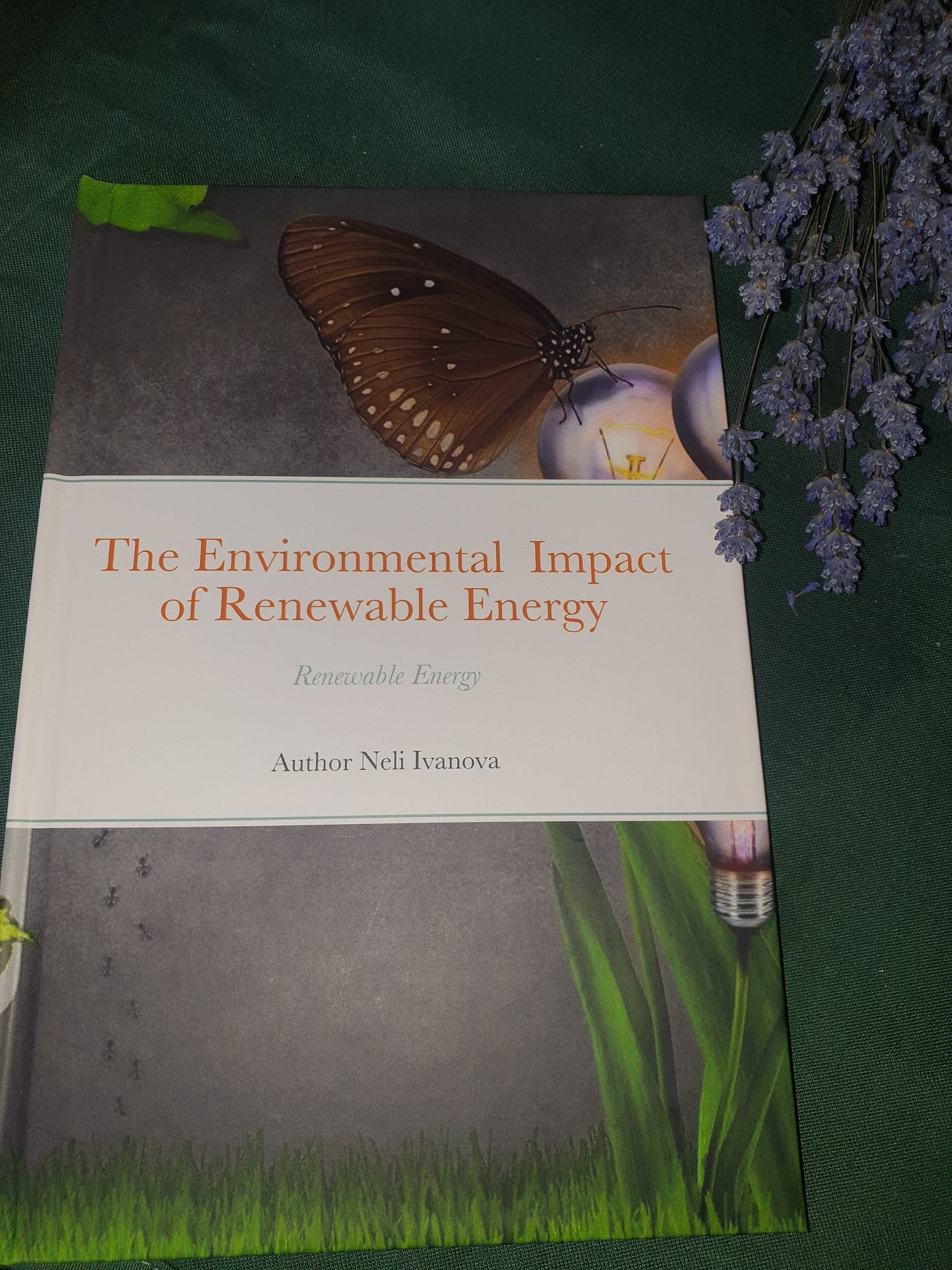 BP Energy Outlook the share of solar and wind in electricity