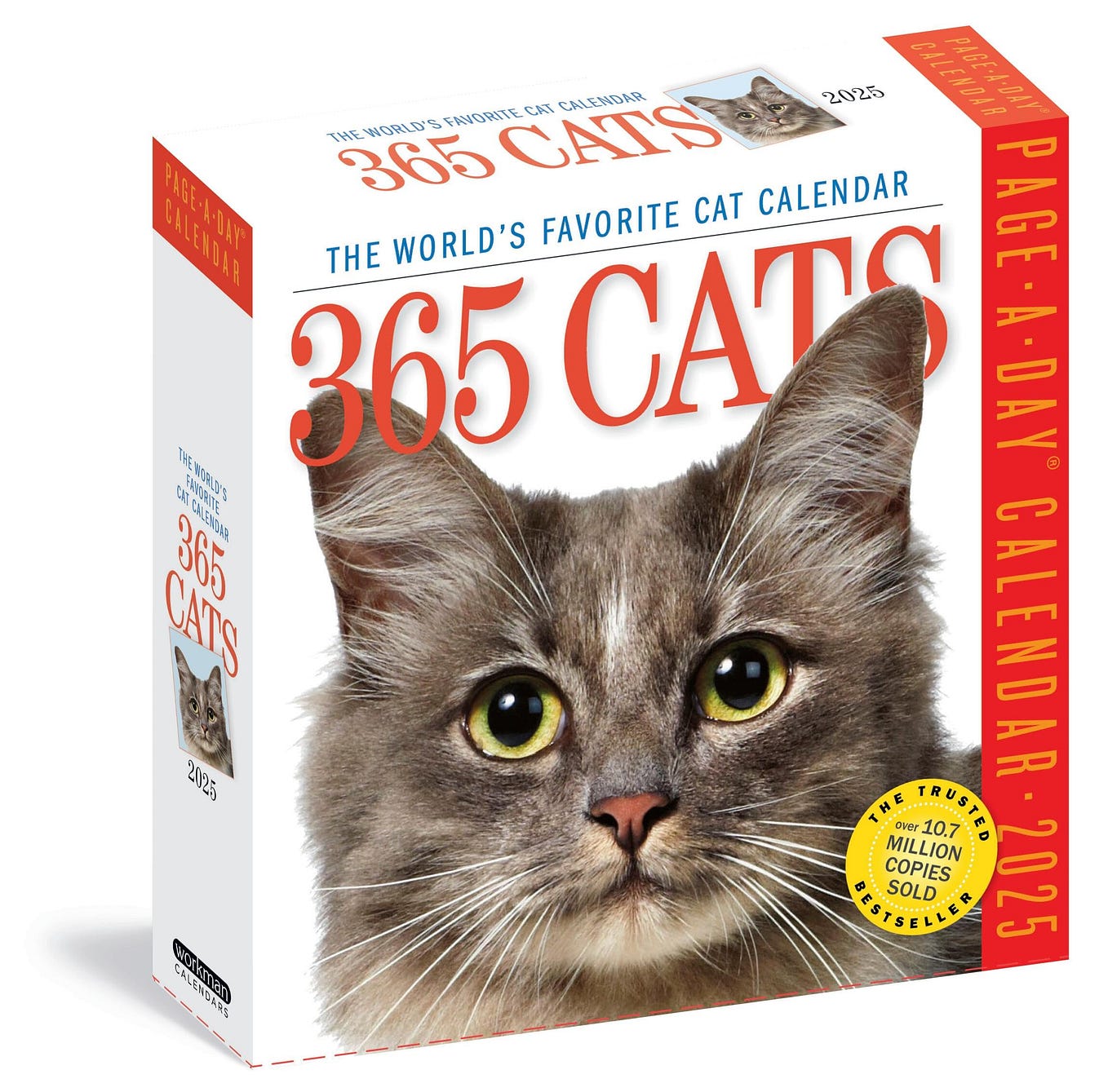 READ/DOWNLOAD Art PageADay® Gallery Calendar 2025 The Next Best