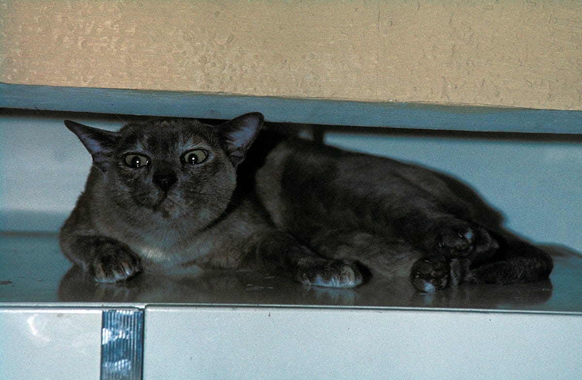 That is the same in essence as Adolf Hitler and the purity of the Aryan