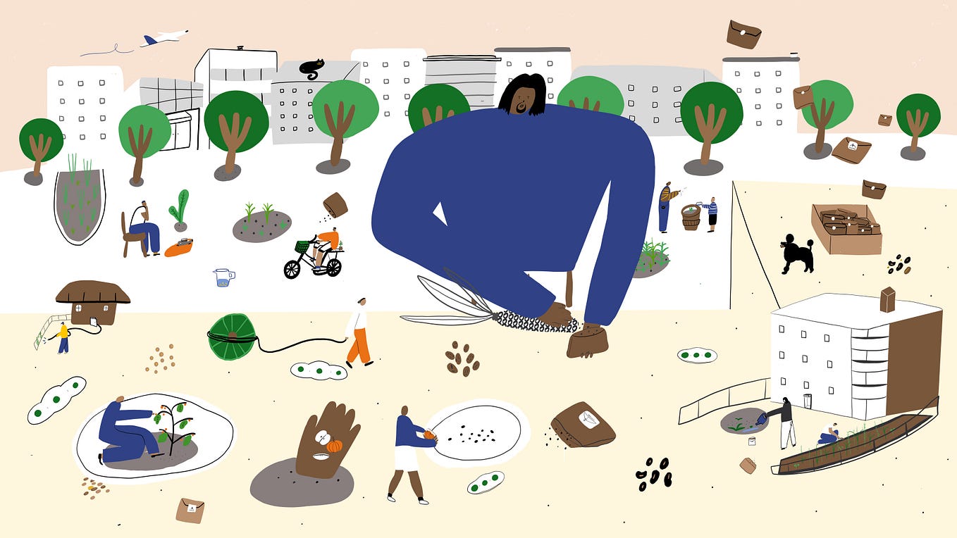 Illustration of Esiah picking kernels off a corn cob and placing them into brown envelopes. A green cityscape unfolds behind.