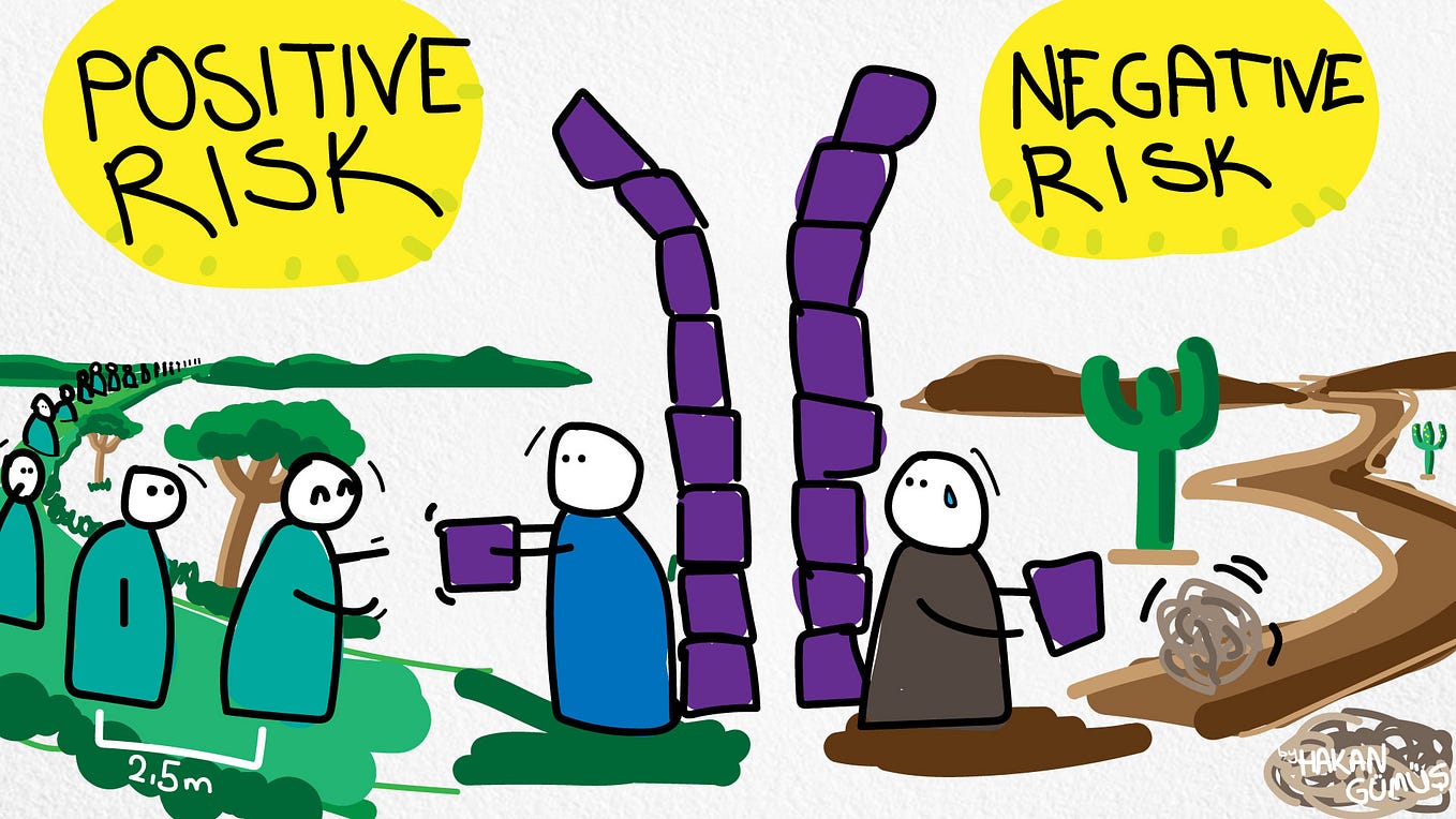 Positive & Negative Risk