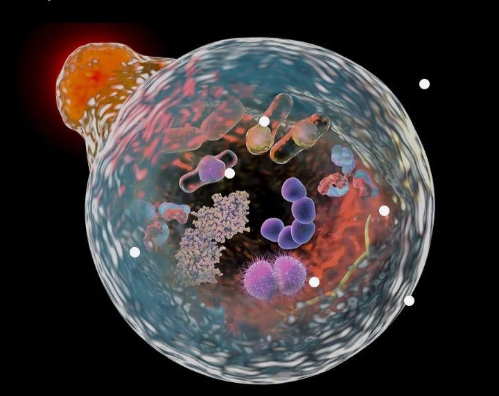 “Here’s a detailed explanation”. Reading skills by Mahi Sep, 2024