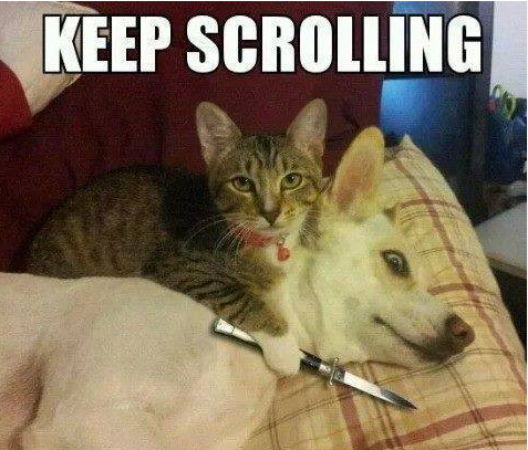 Angular: Best Practices for 2023 | Bits and Pieces