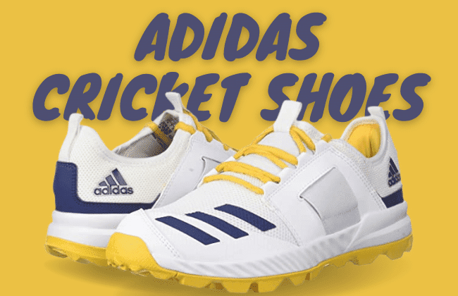 cricket shoes nike
