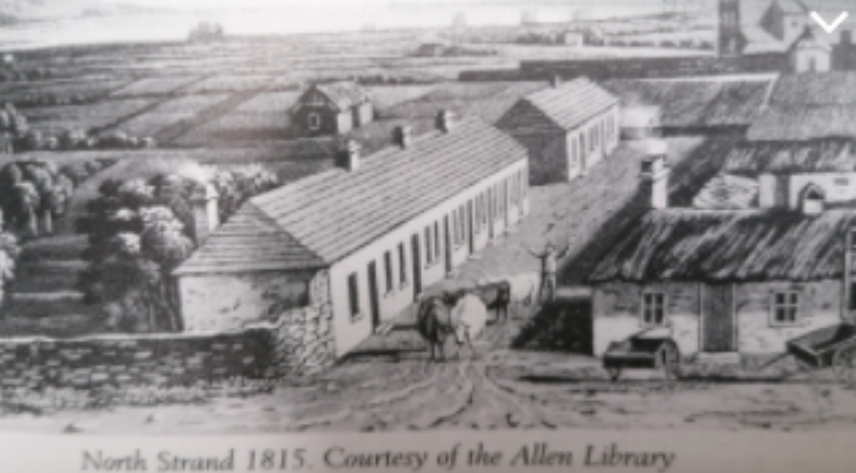 The Irish Famine 1847. The rich in Britain feasted well… | by Mucky ...