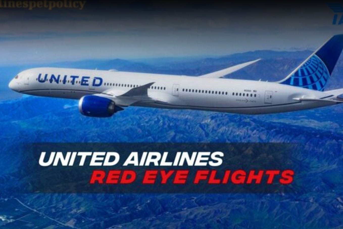 Gorgeous Red Eye Airlines Wallpaper in 4K Gorgeous Red Eye Airlines Wallpaper in 4K