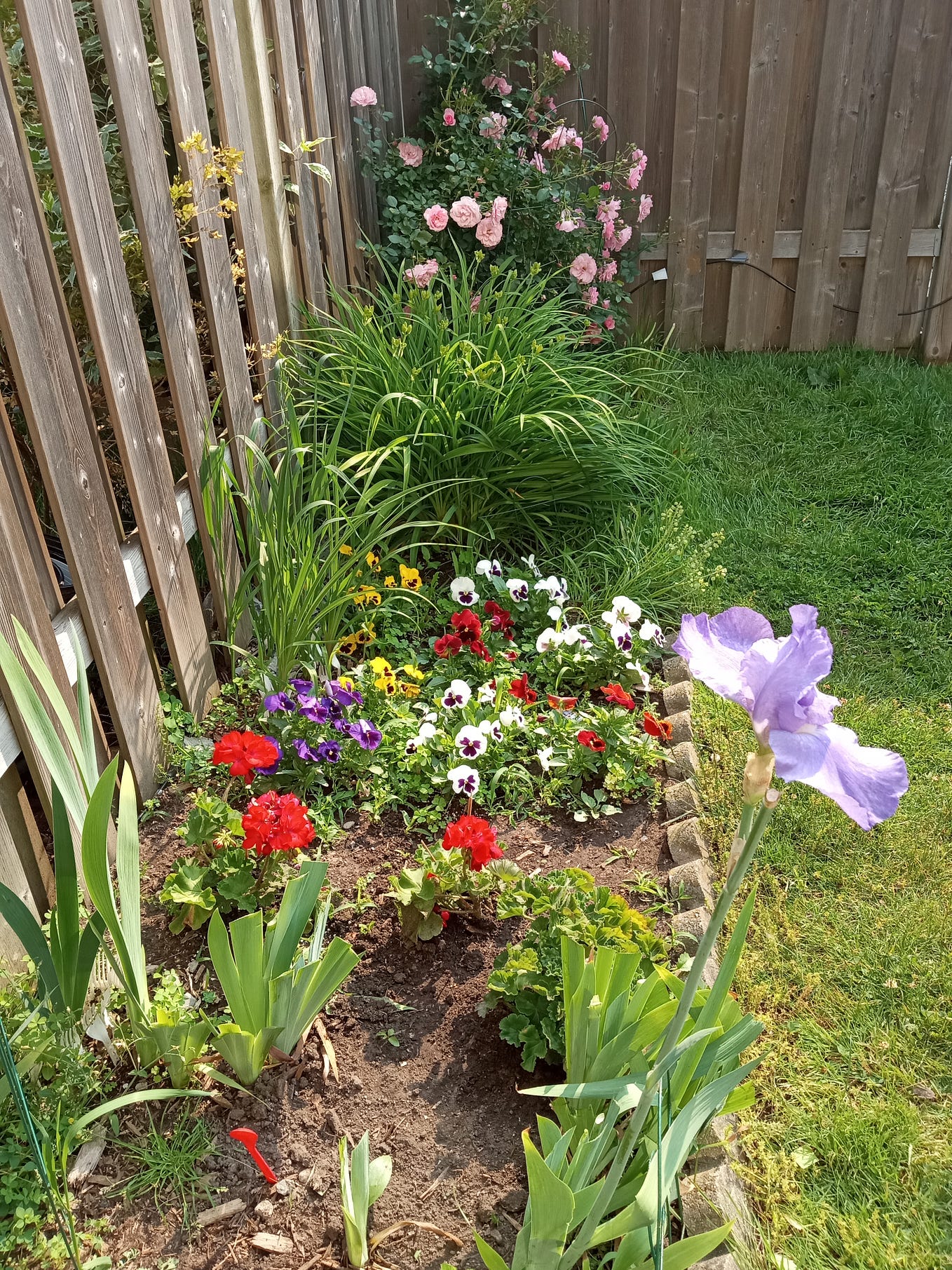 Sorry For My Slow poke Reply I Have Been Ill Go To Knowadays And sorry-for-my-slow-poke-reply-i-have-been-ill-go-to-knowadays-and