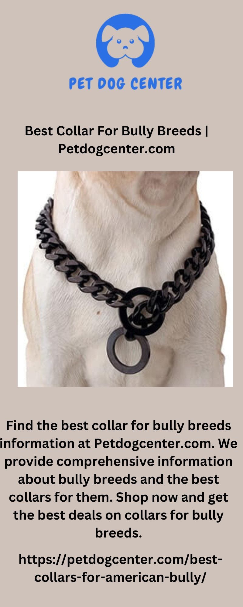 How To Attach Dog Tag To Collar petdog Medium