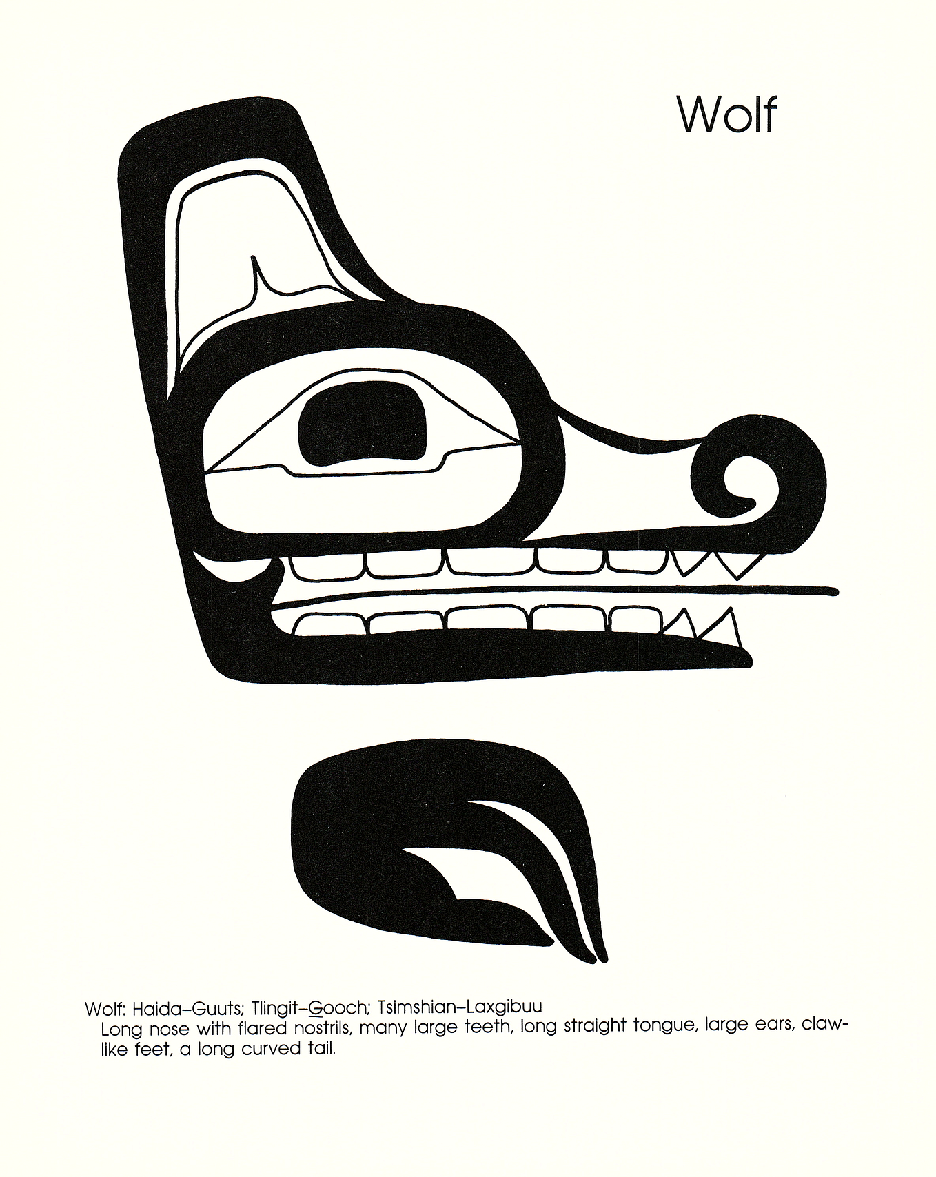 Northwest Coast Indian Art