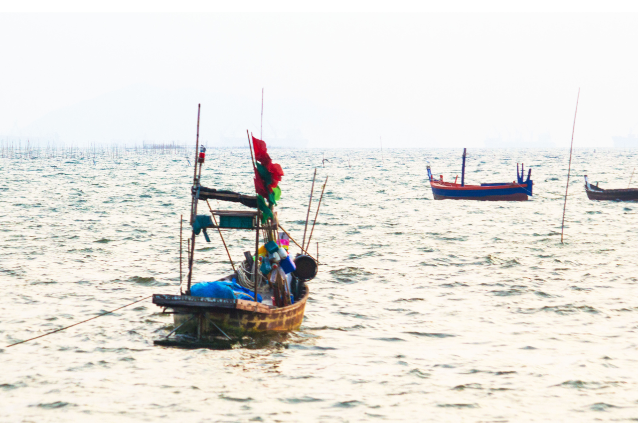 What Food Do Fish Like the Most? Dive into Their Favorites! by