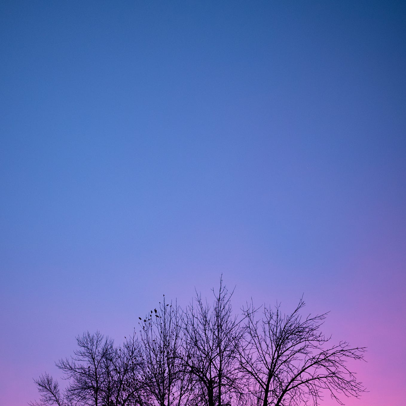 What is Your Favorite Quote, and Why? | by Vidya Sury, Collecting ...