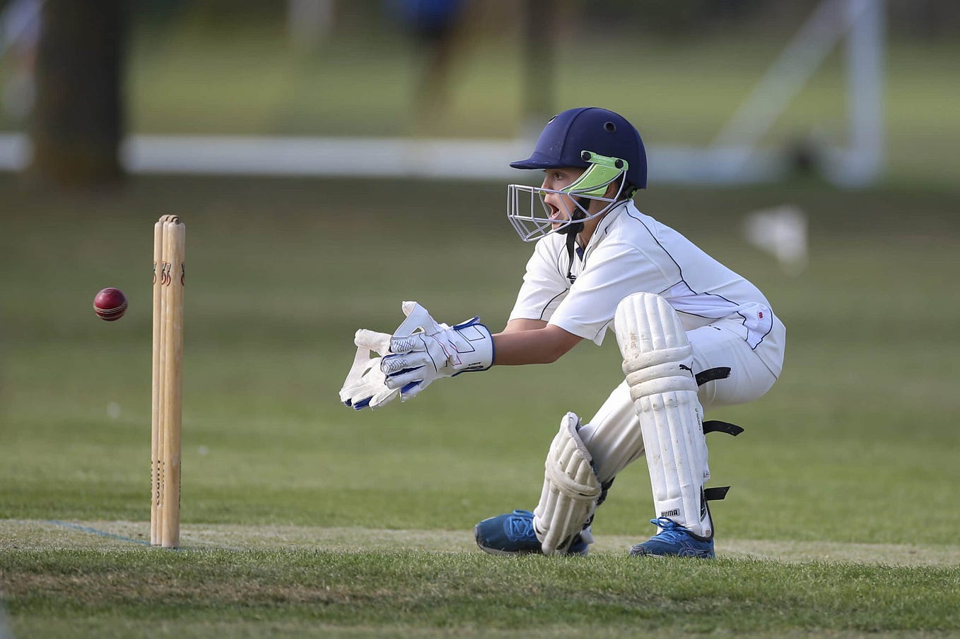 What is Cricket? Cricket is a sport that holds a special by APCL What is Cricket? Cricket is a sport that holds a special by APCL