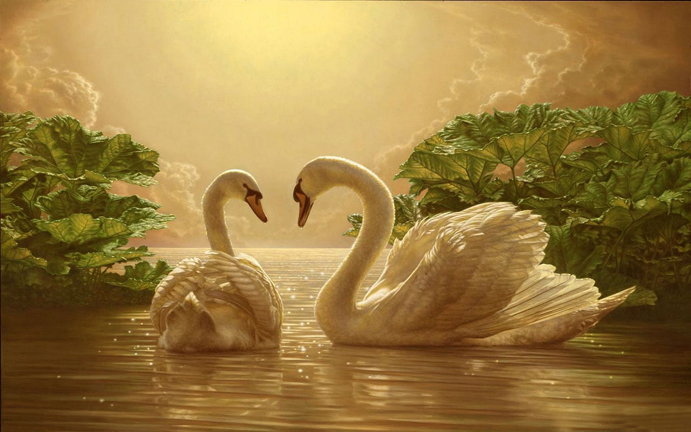 A Guide to Separation Finding Balance on Your Twin Flame Journey by