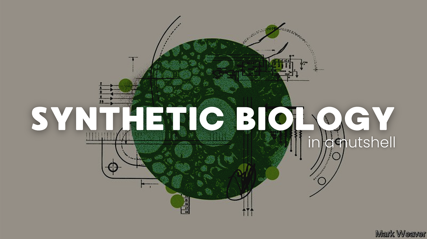 DIY Biology at Home. How I worked on synthetic biology as a… by Sofia