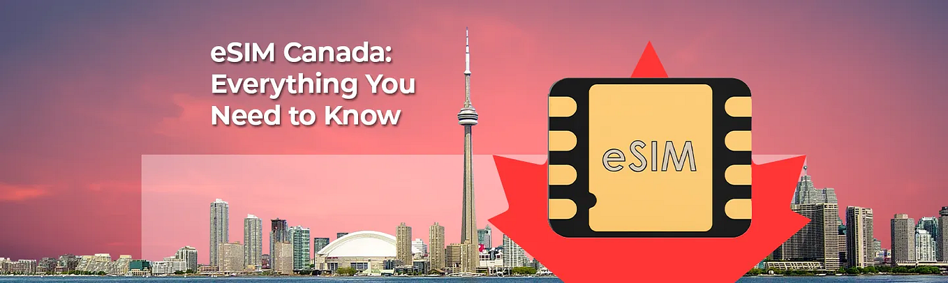 CanadianSIM’s special phone plans for international students | by ...