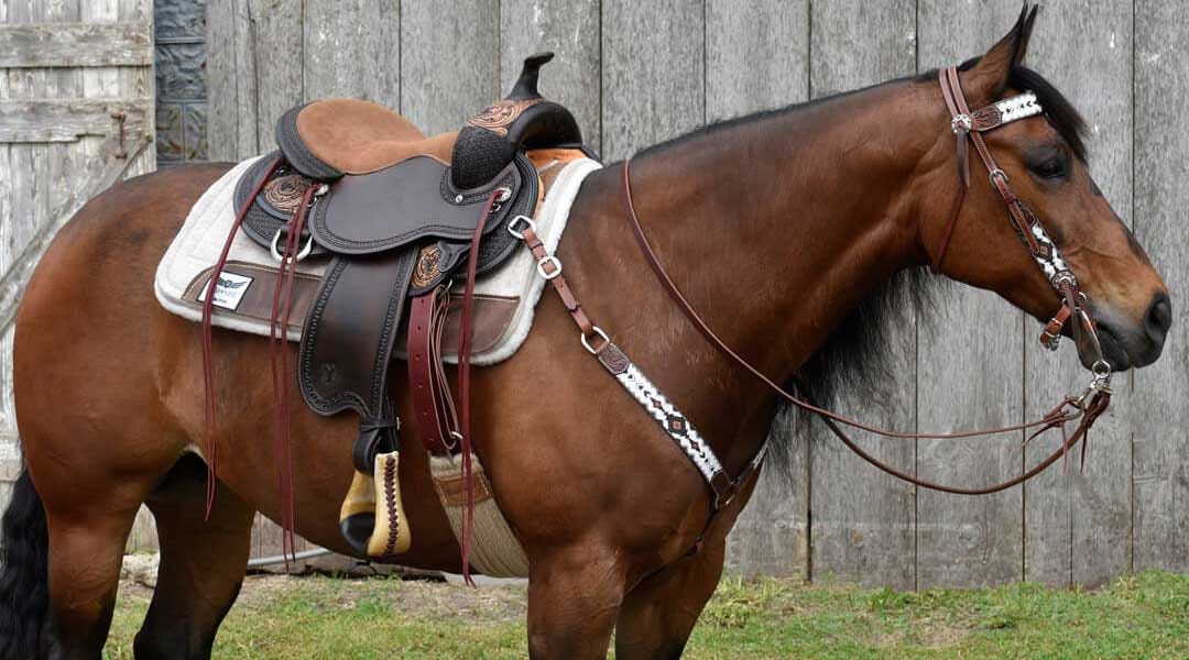 Unveiling the Essence and Excellence of Western Horse Saddles by