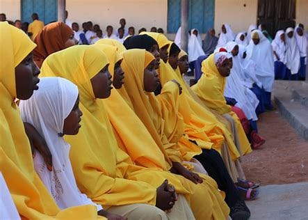 MENTAL HEALTH IN SOMALIA. Background Since the demise of the… | by