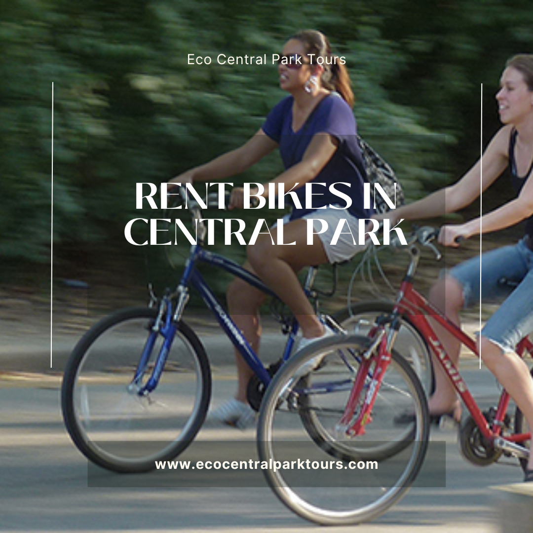Unleash Your Inner Explorer A Guide to Central Park Bike Rentals by