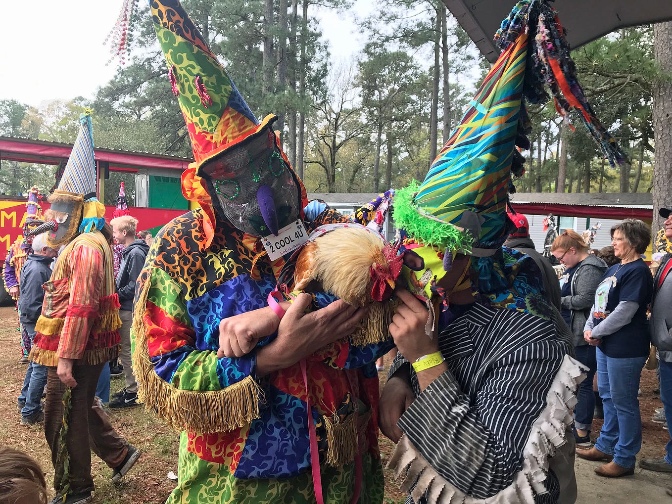 how they celebrate mardi gras in mamou louisiana