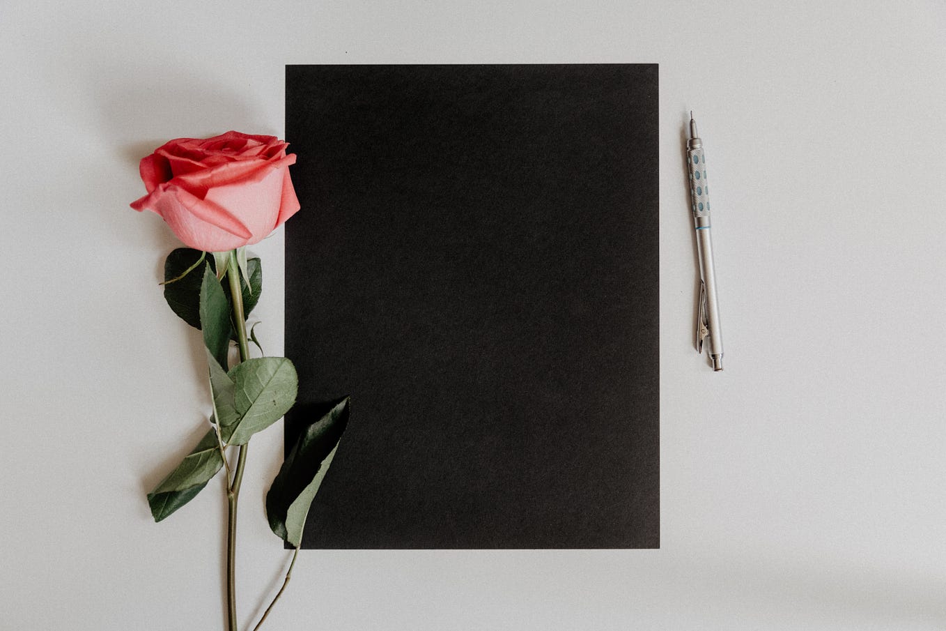 Thank you from the bottom of my heart for the mention of Scribe and the ...